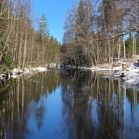 Вілла Katiskosken Joenrantamoekki Гямеенлінна Екстер'єр фото